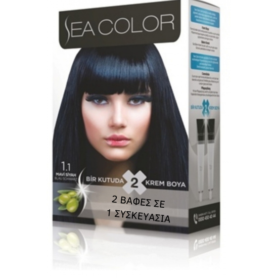 SeaColor Hair Color 1.1 BLUE BLACK